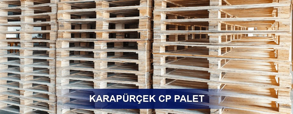 Karapürçek Standart Tipler