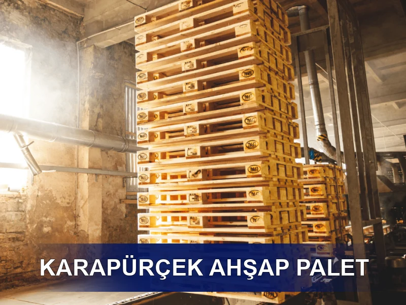 Karapürçek Palet Galeri 4
