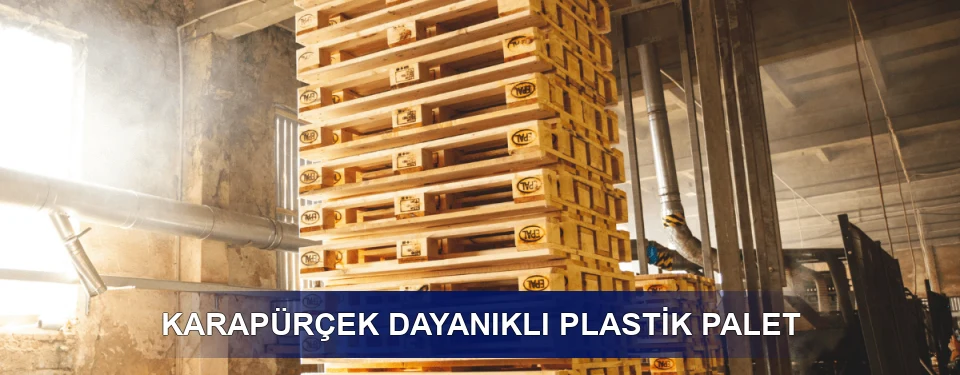 Karapürçek Fiyatlandırma